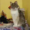 Отзыв от Ольга Астафьева